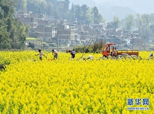 文化和旅游部：“五一”假期游客應(yīng)配合做好疫情防控工作