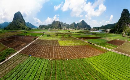 習(xí)近平生態(tài)文明思想蘊(yùn)含著中國(guó)傳統(tǒng)生態(tài)智慧