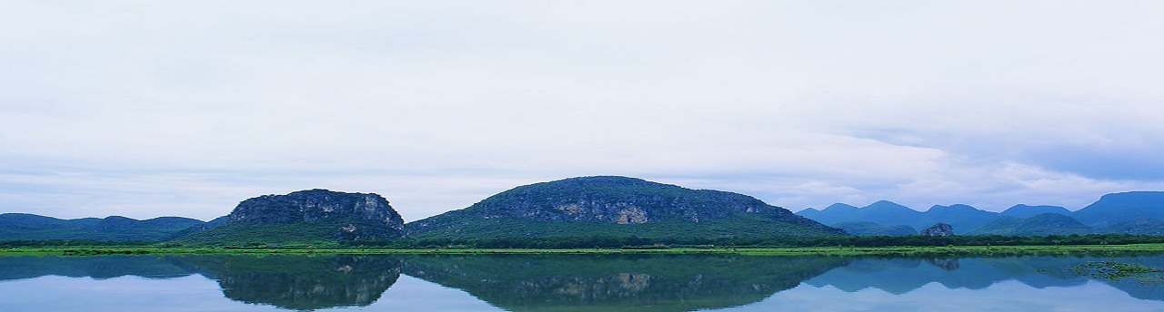 生態(tài)中國5